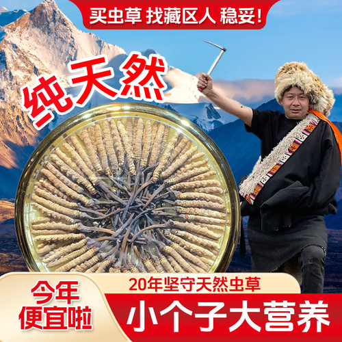 冬虫夏草青海批发价冬虫夏草