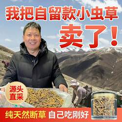 自用实惠青海祁连正品头期非西藏那曲玉树小断冬虫夏草产地礼盒装