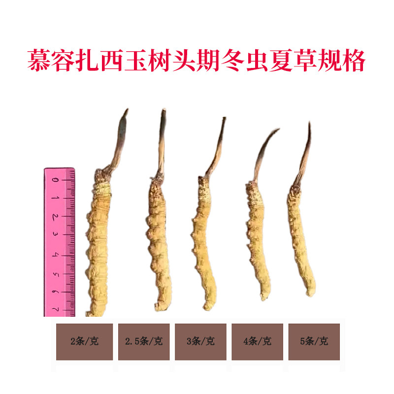 协议价下单专用连接没有协商不要拍偶谢谢
