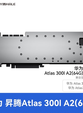 TinyWhale ATLAS300IA2-SR显卡水冷头全金属结构华为 ATLAS300TA2