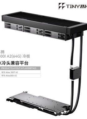TinyWhale ATLAS300IA2 显卡一体式水冷全金属结构华为 ATLAS300T