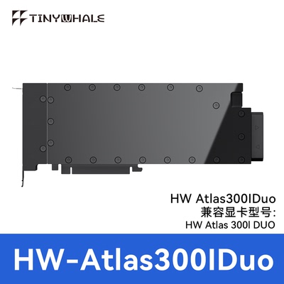 TinyWhale昇腾ATLAS300IDUO水冷