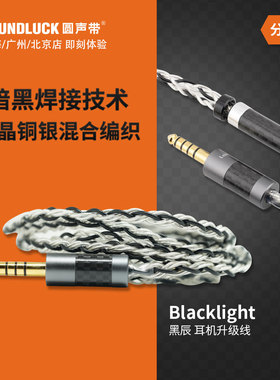 Labkable乐机宝BlackLight黑辰单晶铜银混编耳机升级线圆声带行货