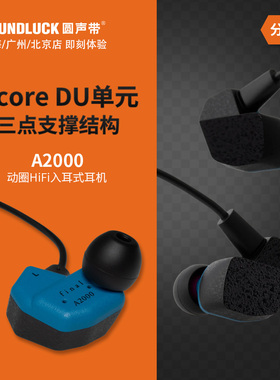 Final A2000舒适佩戴人体工学动圈发烧HiFi入耳式耳机 圆声带行货