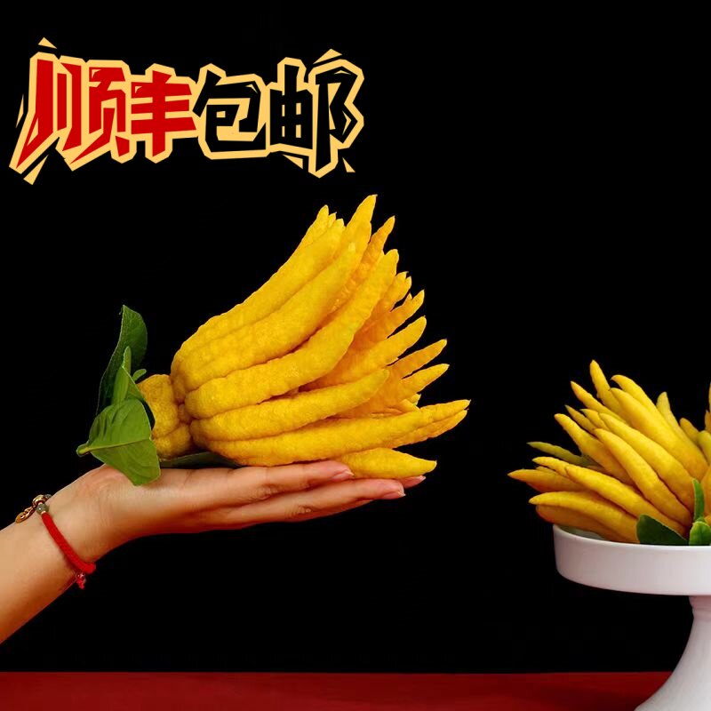 金华佛手现摘现发新鲜佛手果佛手柑香橼果清供青果带枝水养