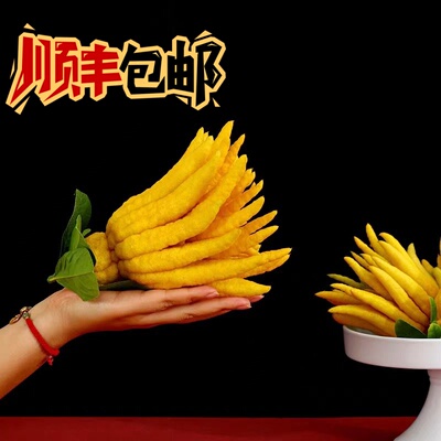 金华佛手现摘现发新鲜佛手果佛手柑香橼果清供青果带枝水养