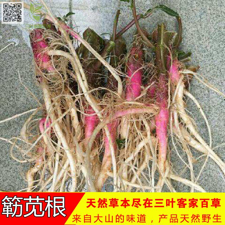 野生新鲜刺苋菜 簕苋头野苋菜 猪母菜 野勒苋枝茎连根头500克