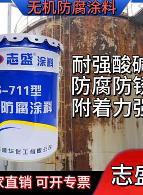 志盛防腐涂料耐高温漆耐海水盐雾耐氯离子酸碱ZS-711灰色隔热哑光