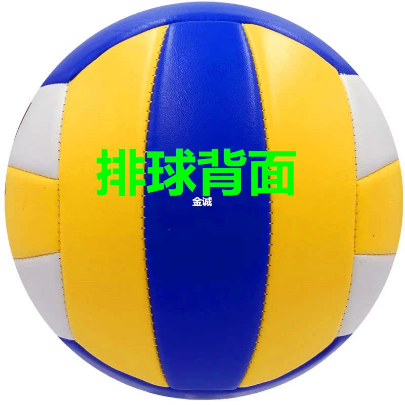 Ballon de volley - Ref 2012083 Image 4