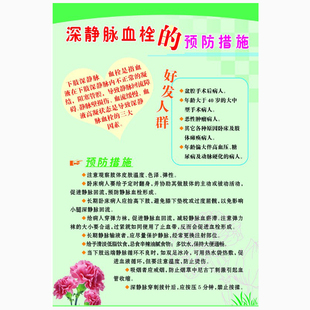 深静脉血栓的预防措施 病房海报 医院文化宣传挂图展板 贴画墙贴