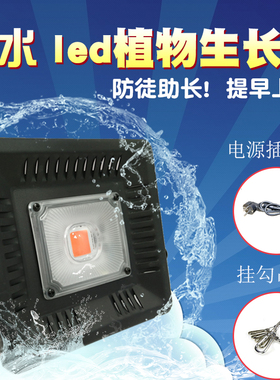 户外防水全光谱仿太阳温室大棚植物补光灯花卉育苗多肉叶菜生长灯