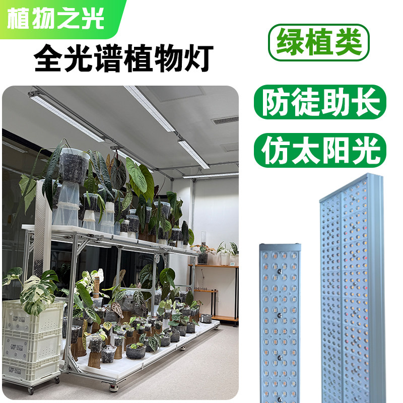 植物之光植物生长灯防徒助长图片
