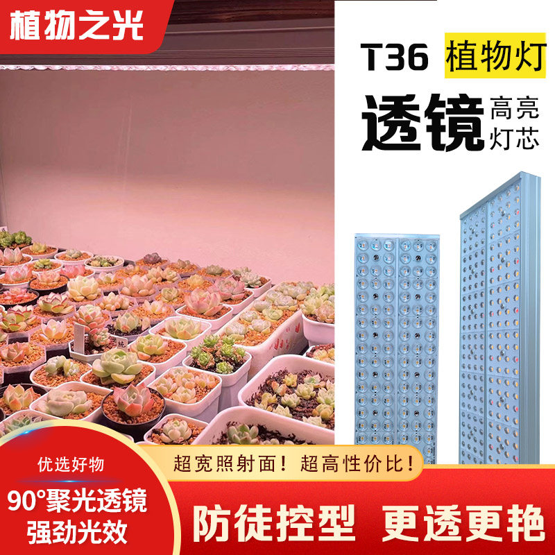 植物之光T36多肉补光灯聚光透镜全光谱仿阳光家用植物灯生长灯
