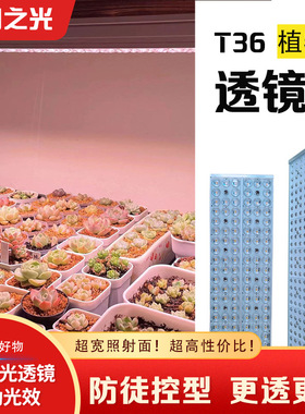 植物之光T36多肉补光灯聚光透镜全光谱仿阳光家用植物灯生长灯