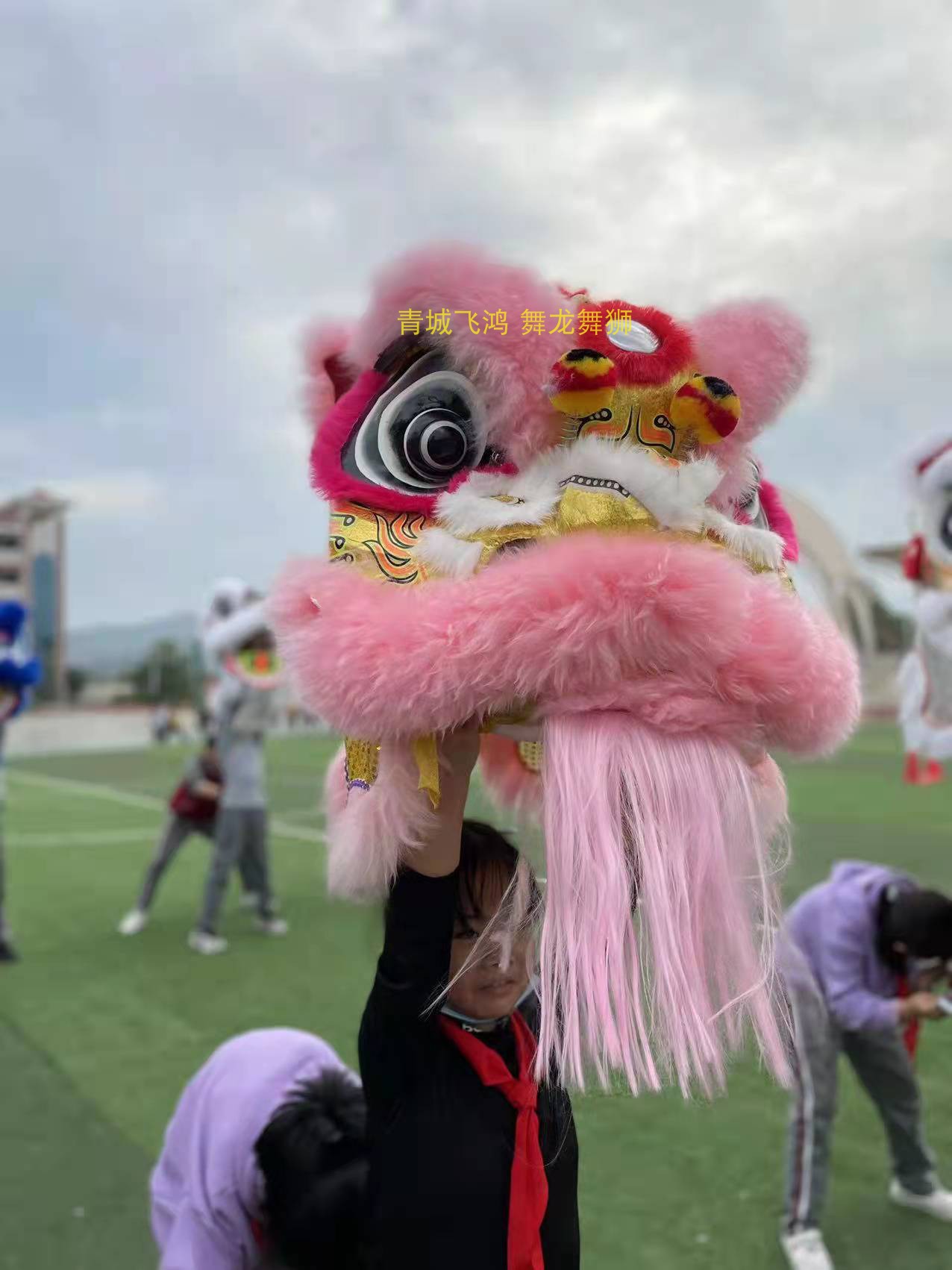 儿童舞狮雄狮少年狮头醒狮中小学生舞狮南狮儿童双人醒狮四号醒狮 特色手工艺 其他 原图主图