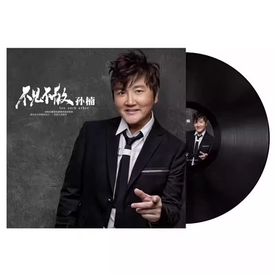 孙楠黑胶唱片 不见不散 你快回来 国语老歌 留声机唱盘12寸LP大碟
