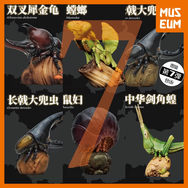 动物星球心宽体胖昆虫gk原型师sazen 螳螂独角仙大兜虫双叉犀金龟