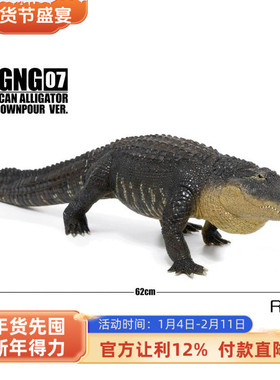 REBOR美洲短吻鳄 GNG尼日尔龙幼崽动物儿童模型玩具收藏摆件 场景