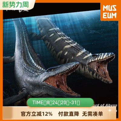 豪华版本心楠改PVC沧龙