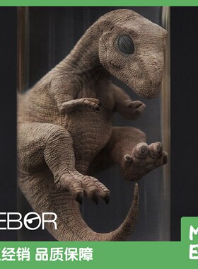 REBOR仿真迅猛龙胚胎模型成人孩童玩具侏罗纪霸王龙幼崽试管标本