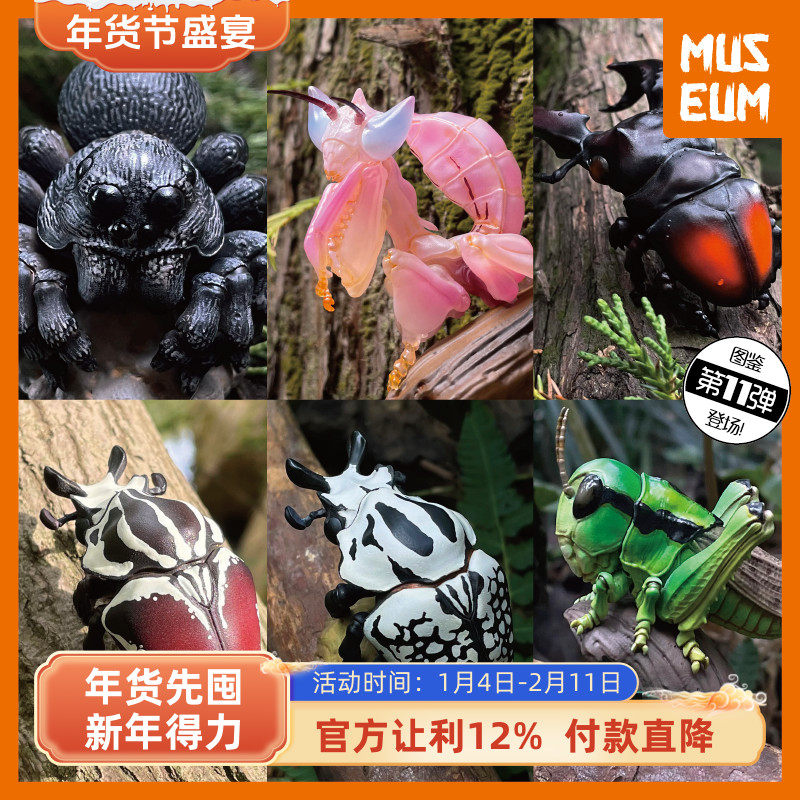 动物星球心宽体胖第11弹昆虫狼蛛兰花螳螂锹形虫金龟蝗虫蚂蚱模型