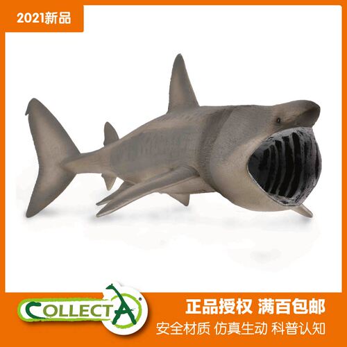 collecta模型玩具姥鲨海洋生物