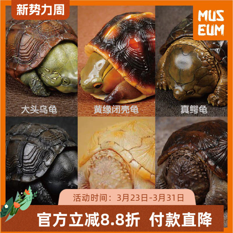 动物星球心宽体胖苏卡达黄缘佛大鳄树脂手办乌龟模型仿真玩具摆件