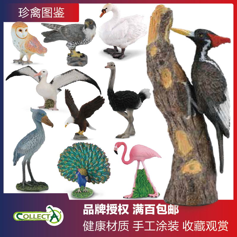 模型玩具CollectaPVC鸟类