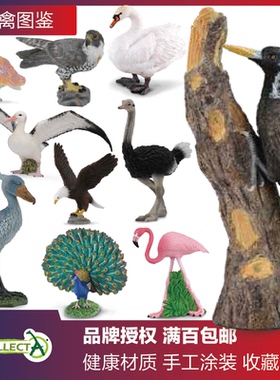 观鸟玩具模型鸟类模型CollectA动物模型雁鸭猫头鹰海鸥天鹅火烈鸟