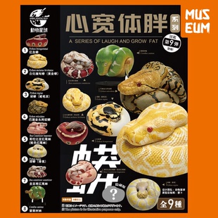 动物星球心宽体胖第9弹 红血球蟒树蚺圭亚那红尾蚺巴厘金头蛇模型