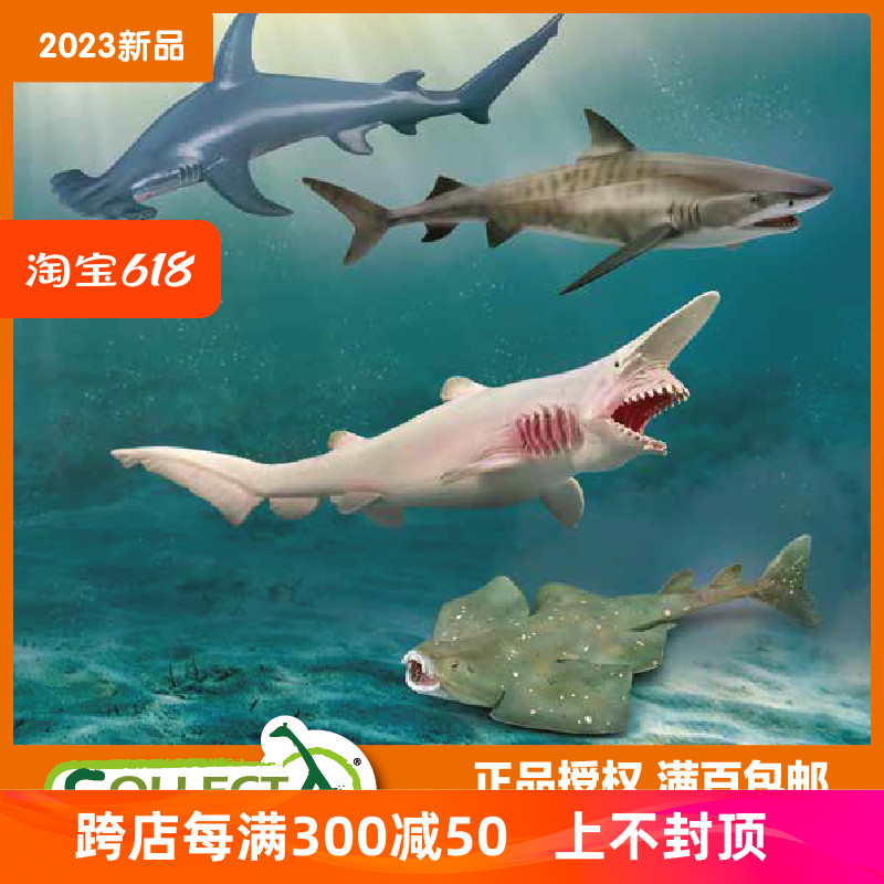 CollectAPVC海洋生物