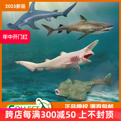 CollectAPVC海洋生物