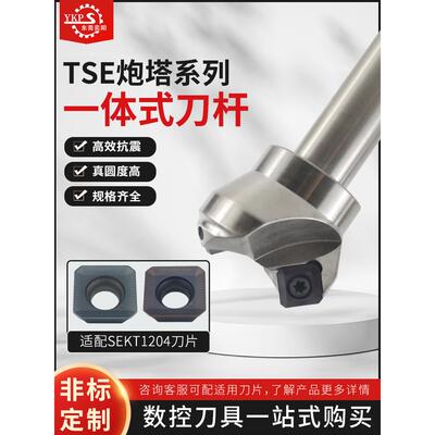 TSE直柄45度面铣刀杆KM12钢用铝用平面加工刀片SEHT1204 SEKT1204