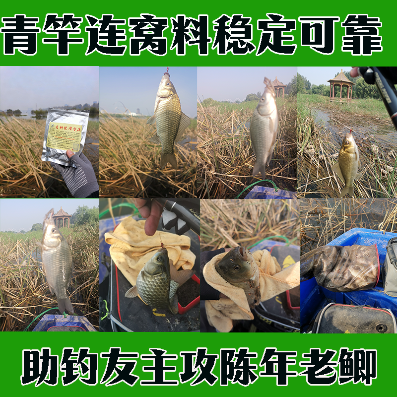 自制配方冬季小药窝料鲫鱼鲤鱼