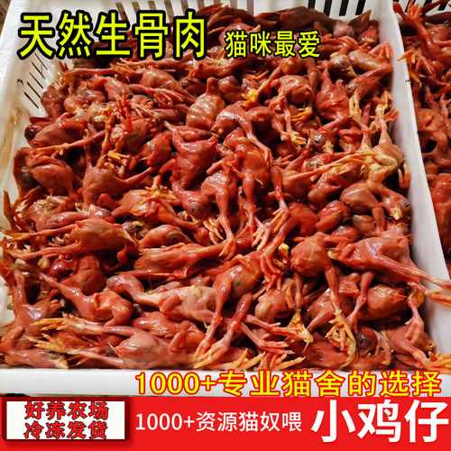 冰冻小鸡 脱毛小鸡 猫粮生骨肉新鲜日食鸡 食肉动物饲料100斤起