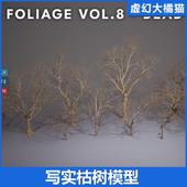 Dead 枯树模型Foliage UE5 and VOL.8 Nanite Poly Trees Low