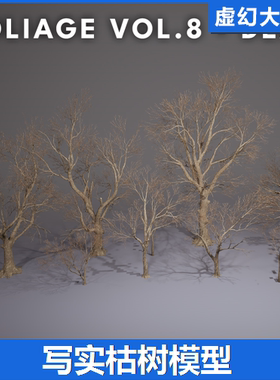 UE5 枯树模型Foliage VOL.8 - Dead Trees (Nanite and Low Poly)