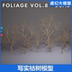 Dead 枯树模型Foliage UE5 and VOL.8 Nanite Poly Trees Low