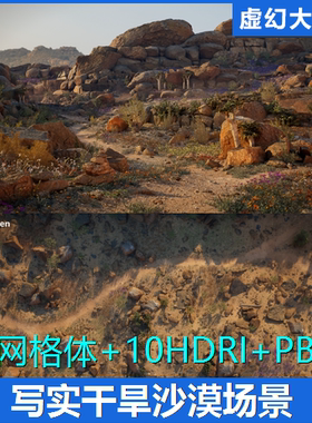 UE5 写实南非西海岸干旱沙漠山脉场景纳马夸兰热带自然植物雏菊