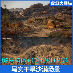 UE5 写实南非西海岸干旱沙漠山脉场景纳马夸兰热带自然植物雏菊