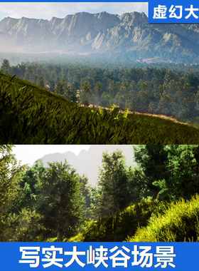 UE5虚幻5 8K Valley Landscape Pack 森山大峡谷山脉地形植物场景
