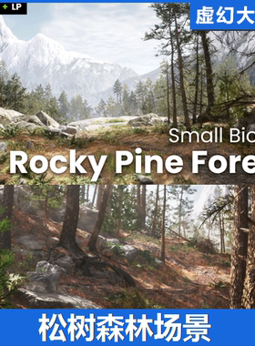 UE5虚幻 Rocky Pine 写实红松树白松森林场景 蕨类草丛岩石  模型