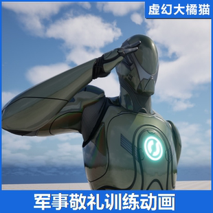 Pack Animation Military NPC Unarmed 军事训练敬礼动画 UE5