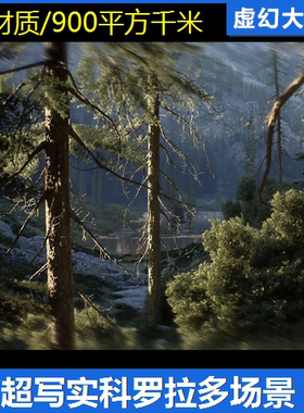 UE4虚幻5 Colorado Nature Landscape 科罗拉多松针森林岩石场景