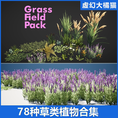 UE4虚幻5 Grass Field Pack 草地植物合集蒲公英薰衣草芦苇雏菊杂