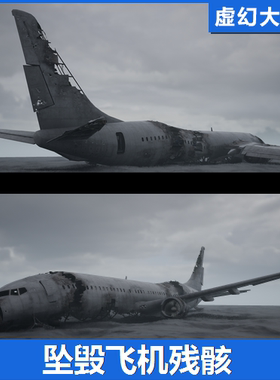 UE4UE5 Crashed Airliner 客机空难坠毁场景破旧飞机残骸波音787