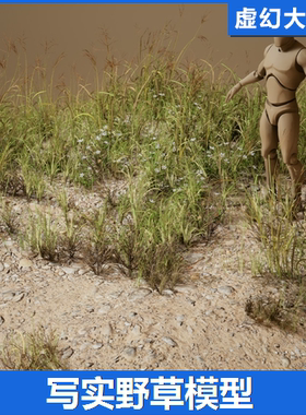 虚幻UE5 Foliage VOL.22 - Wild Grass Low Poly野草野花植被模型