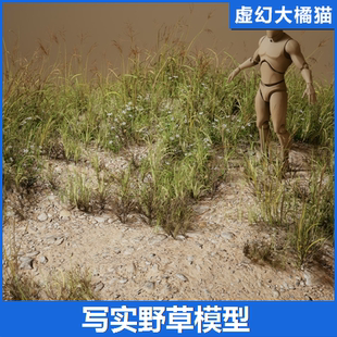 Low 虚幻UE5 Poly野草野花植被模型 Grass Wild Foliage VOL.22
