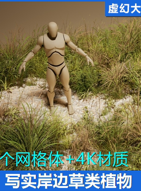 UE5.1+ Foliage VOL.27 - Beach Grass 海滩岸边绿色野草植物模型