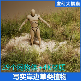 Grass UE5.1 Beach VOL.27 海滩岸边绿色野草植物模型 Foliage